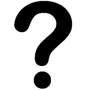 Mystery Womans Large Clothing Includes 3 Items